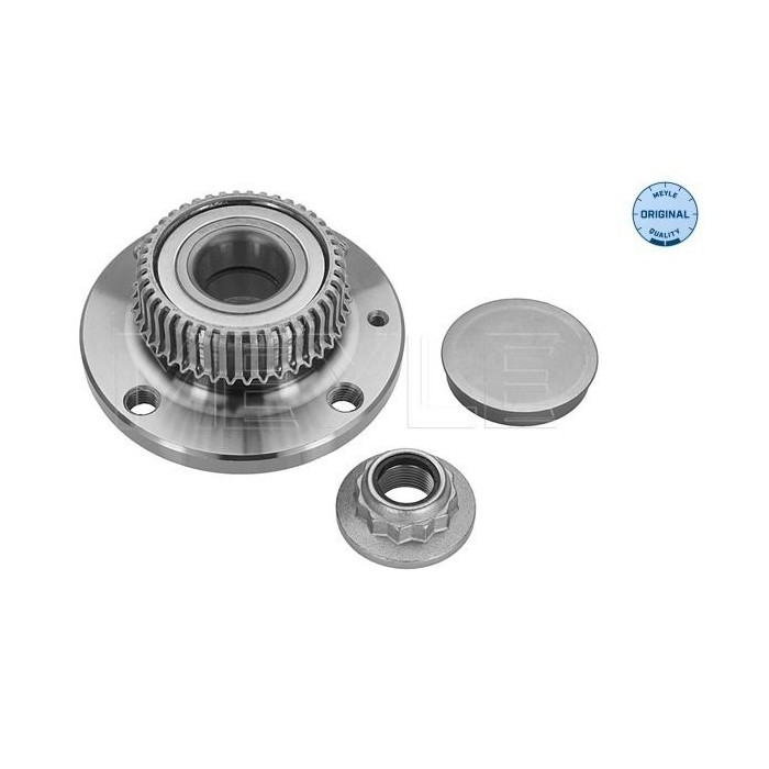 meyle: Radnabe 1007520007