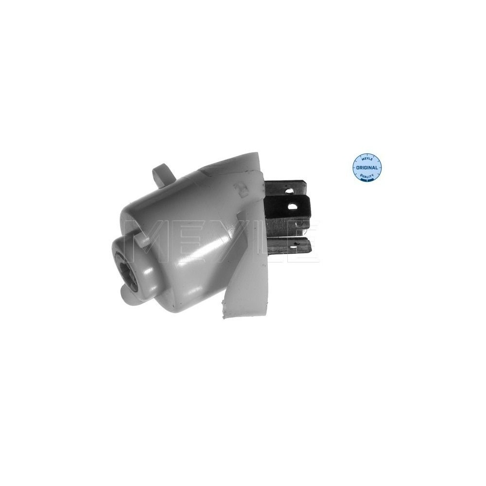 meyle: Zünd-Startschalter 1009050014