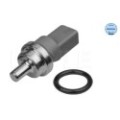 meyle: Sensor, Kühlmitteltemperatur 1009190032