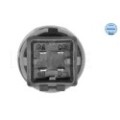 meyle: Sensor, Kühlmitteltemperatur 1009190043
