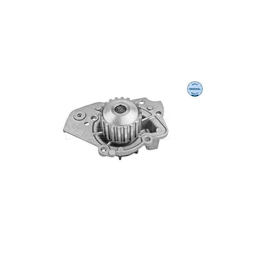 meyle: Wasserpumpe 11-130120163