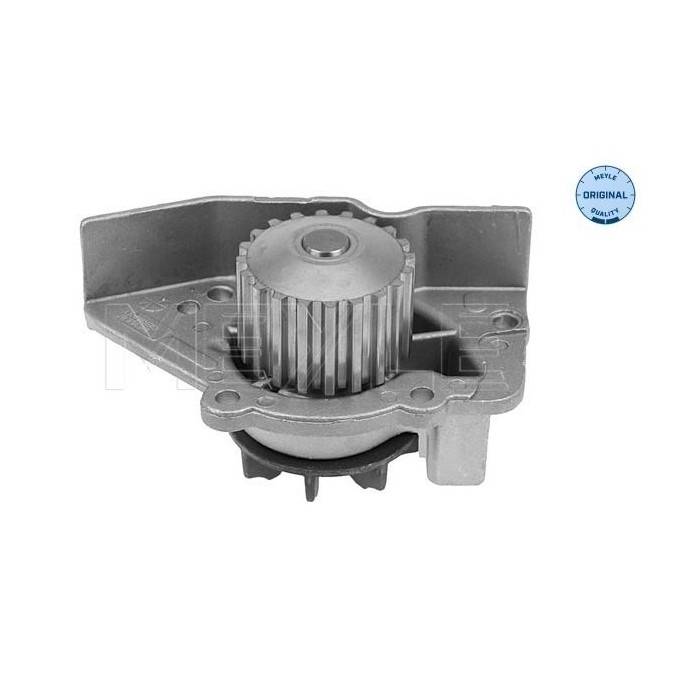 meyle: Wasserpumpe 11-130120183