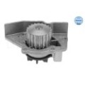 meyle: Wasserpumpe 11-130120183