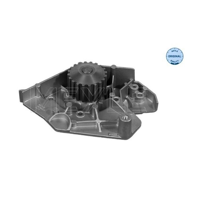 meyle: Wasserpumpe 11-132200002