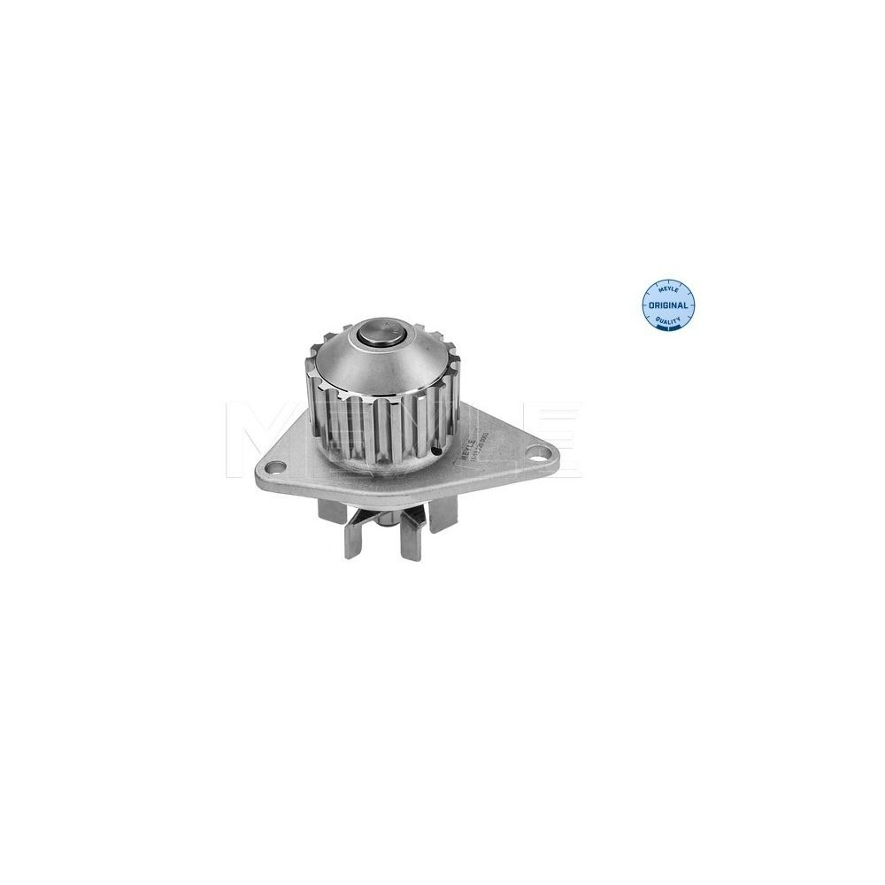 meyle: Wasserpumpe 11-132200003