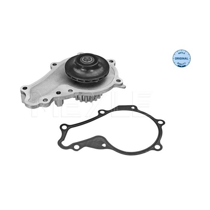meyle: Wasserpumpe 11-132200004