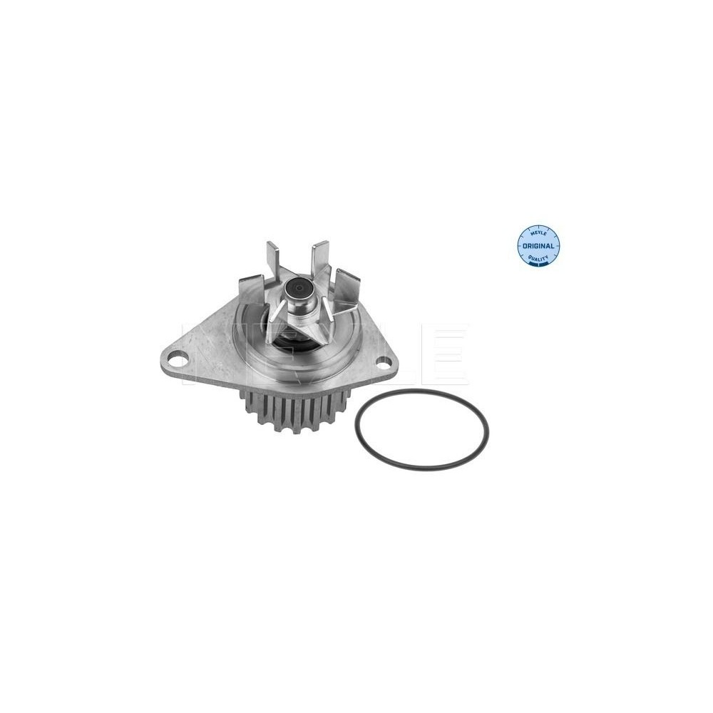 meyle: Wasserpumpe 11-132200006