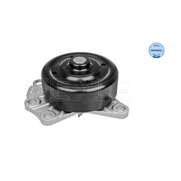 meyle: Wasserpumpe 11-132200019