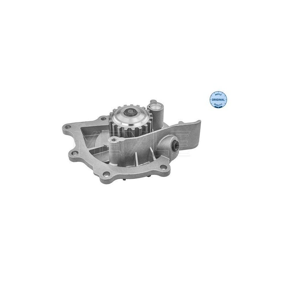 meyle: Wasserpumpe 11-132200021