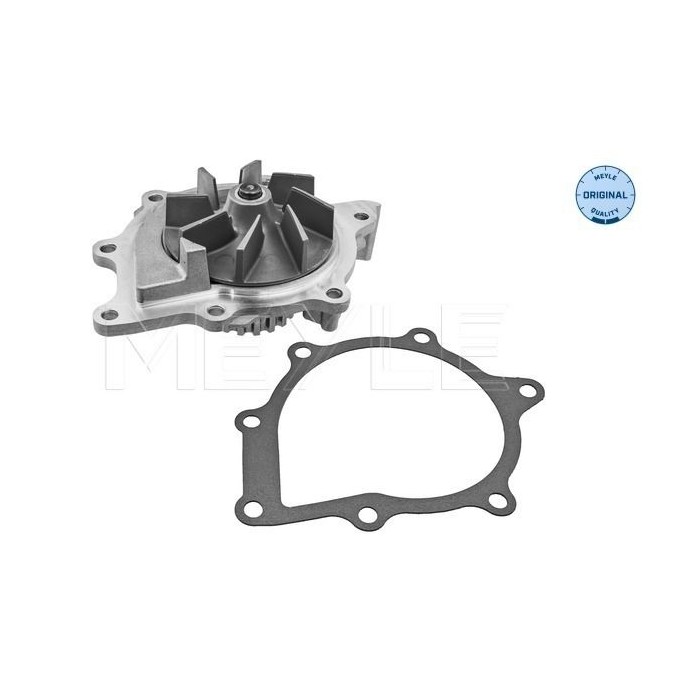 meyle: Wasserpumpe 11-132200021
