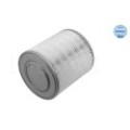 meyle: Luftfilter 1123210003