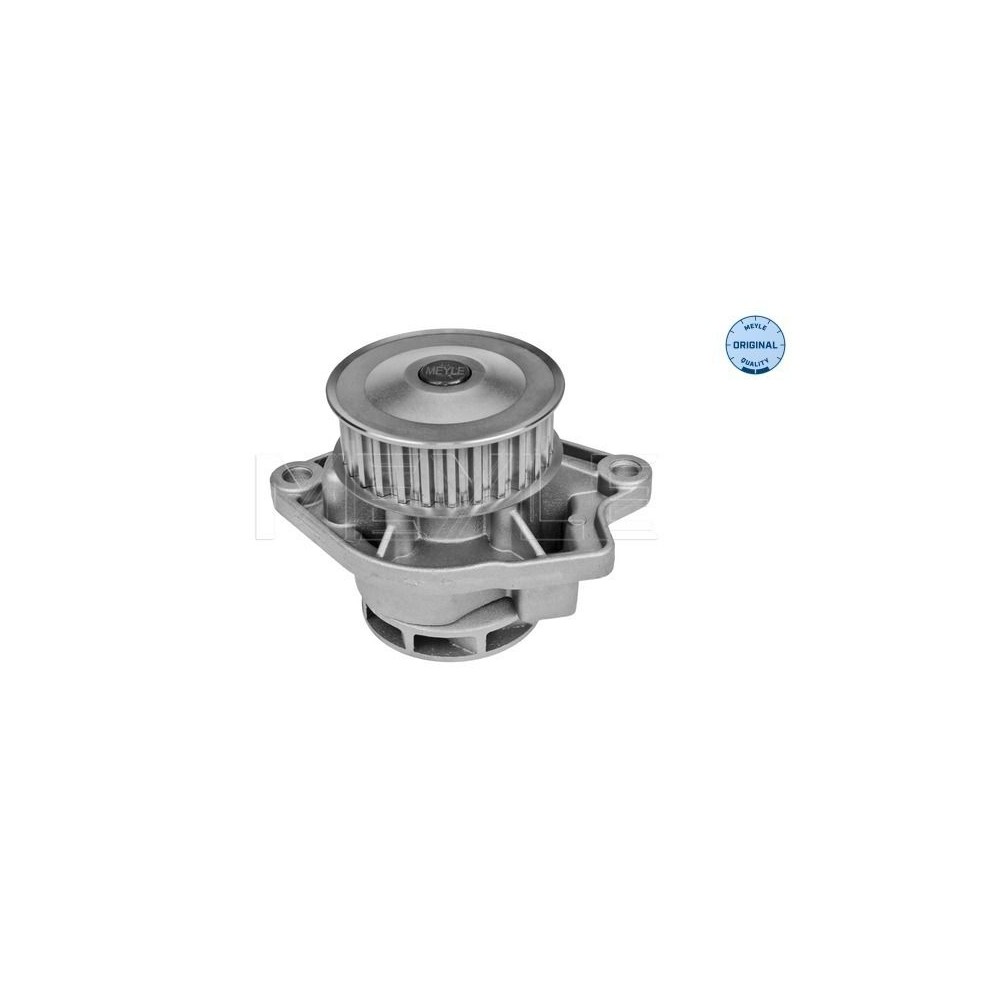 meyle: Wasserpumpe 1130120035