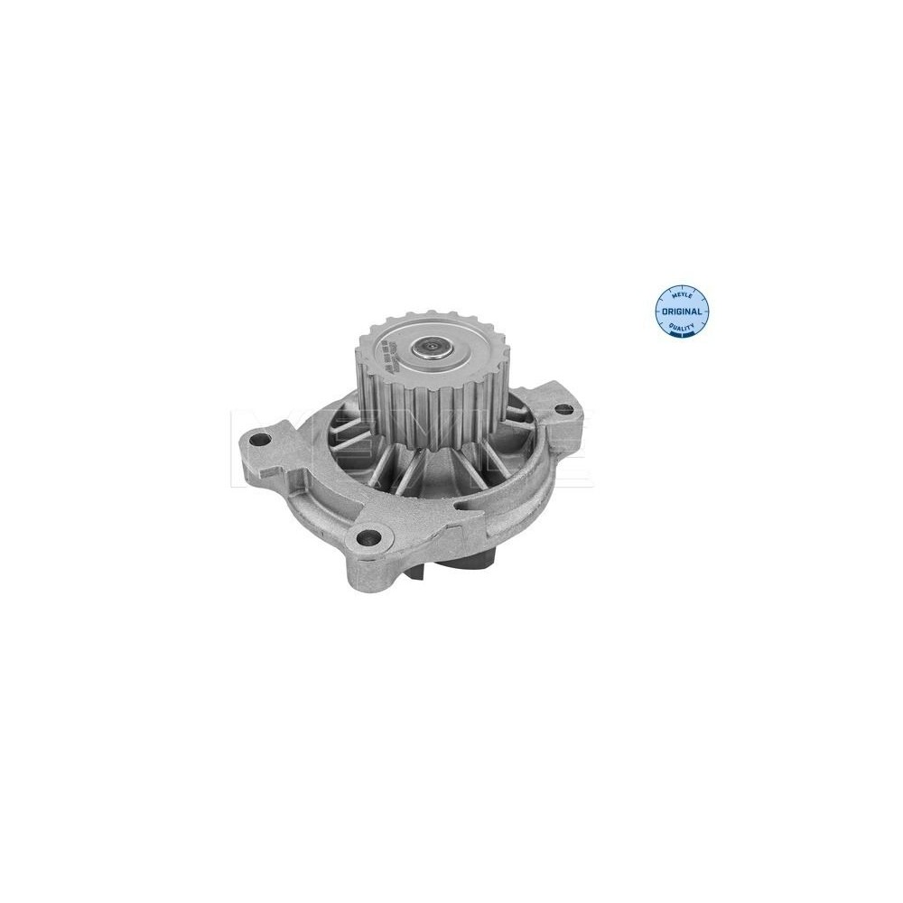 meyle: Wasserpumpe 1132200022