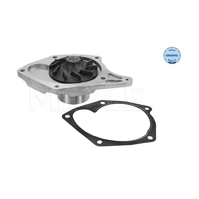 meyle: Wasserpumpe 16-132200015