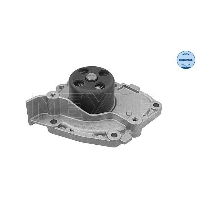 meyle: Wasserpumpe 16-132200022