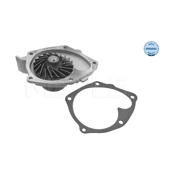 meyle: Wasserpumpe 16-132200022