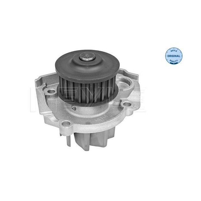 meyle: Wasserpumpe 2132200022