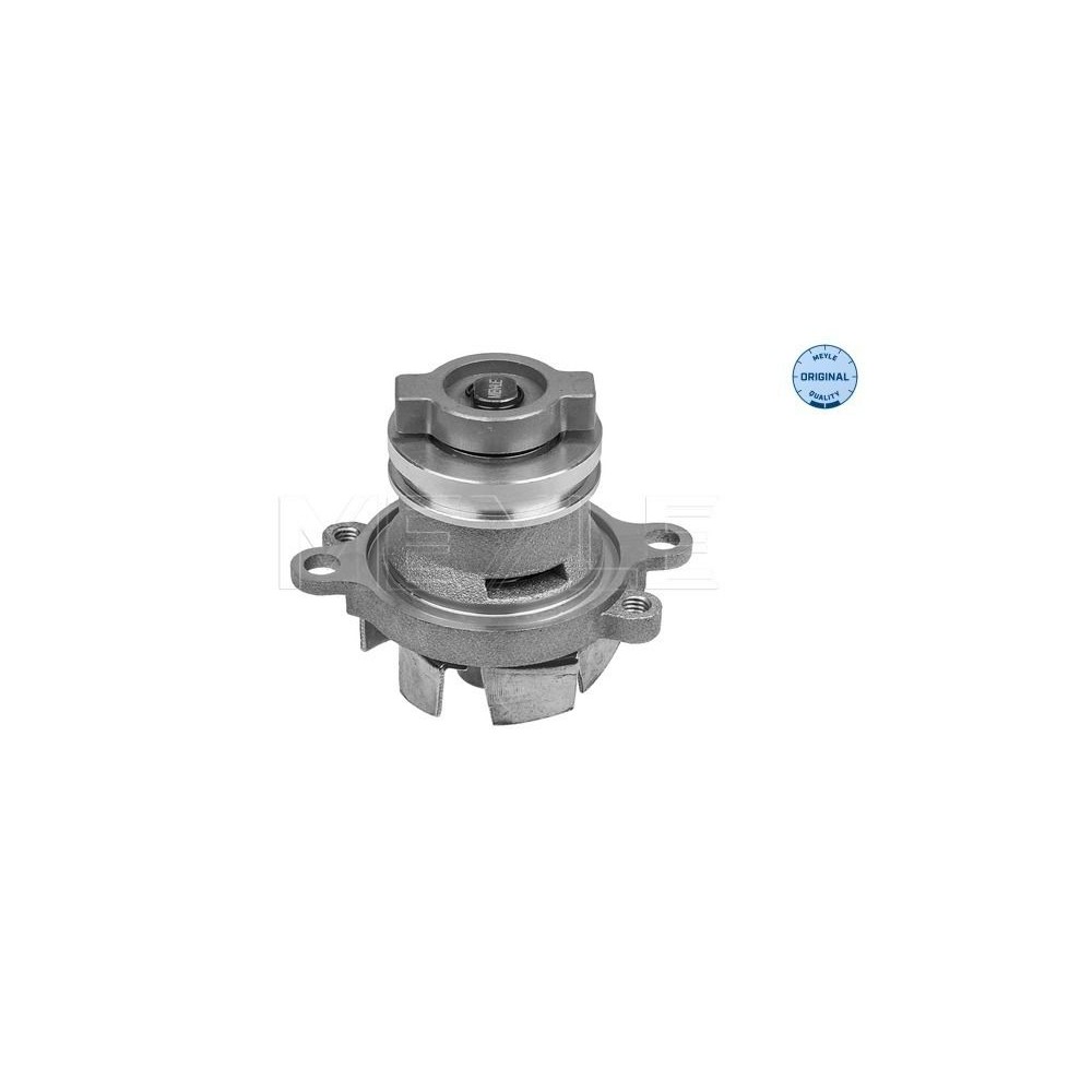 meyle: Wasserpumpe 2132200025