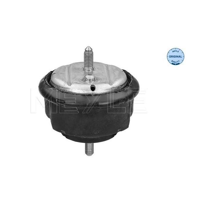 meyle: Lagerung, Motor 3002211102