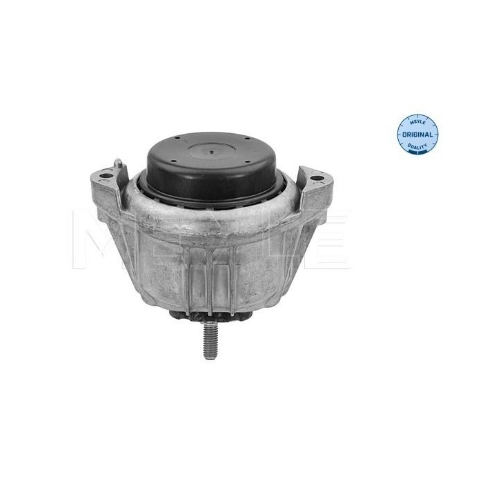 meyle: Lagerung, Motor 3002211115