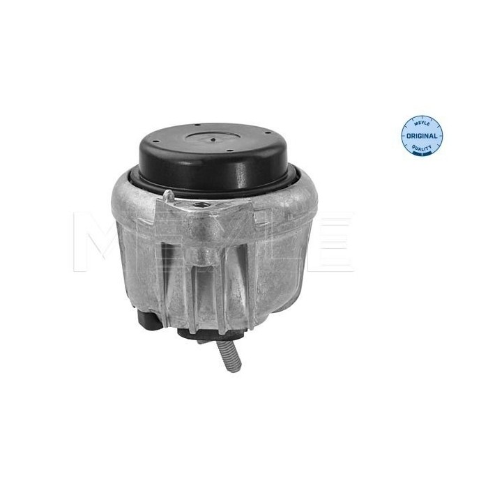 meyle: Lagerung, Motor 3002211116