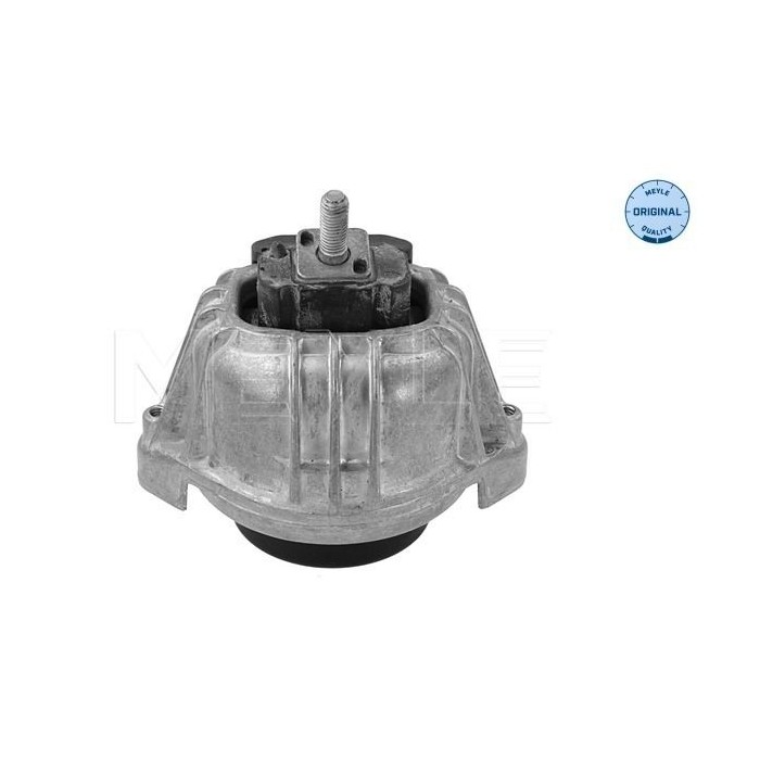 meyle: Lagerung, Motor 3002211116