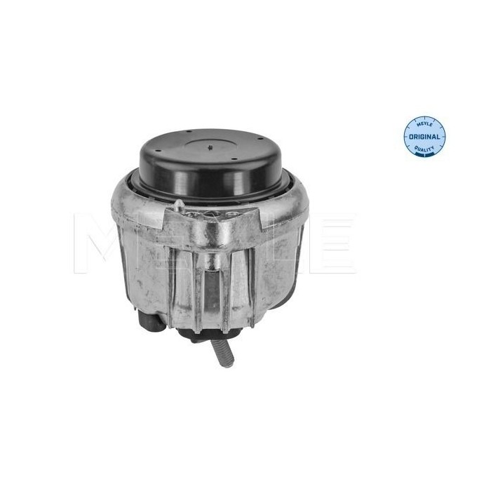 meyle: Lagerung, Motor 3002211139