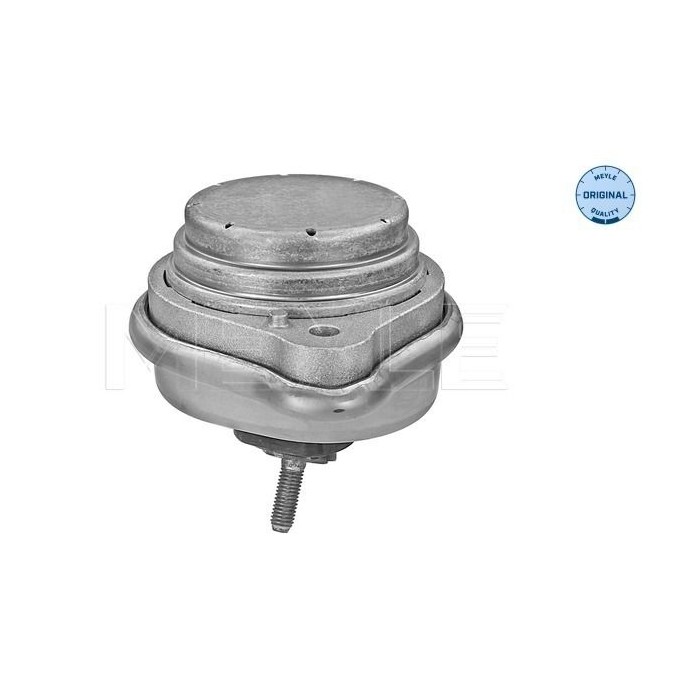 meyle: Lagerung, Motor 3002212133
