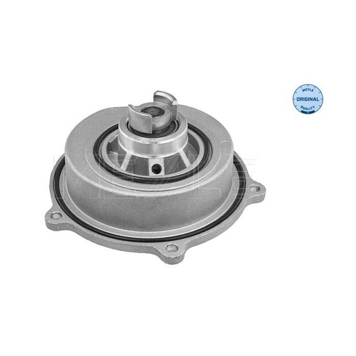 meyle: Wasserpumpe 31-132200003