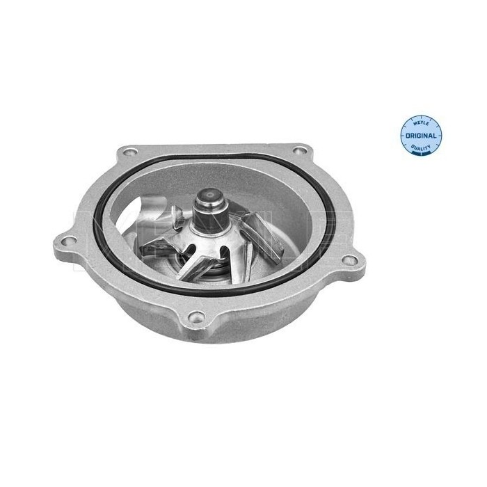 meyle: Wasserpumpe 31-132200003