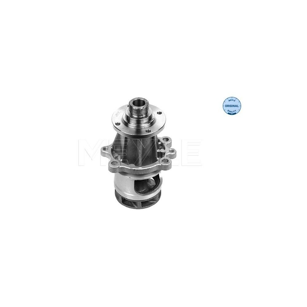 meyle: Wasserpumpe 3130112100