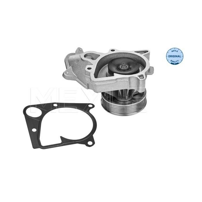meyle: Wasserpumpe 3132200001