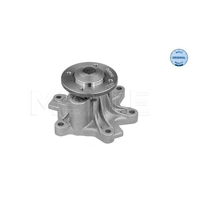 meyle: Wasserpumpe 3132200010