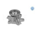 meyle: Wasserpumpe 3132200010