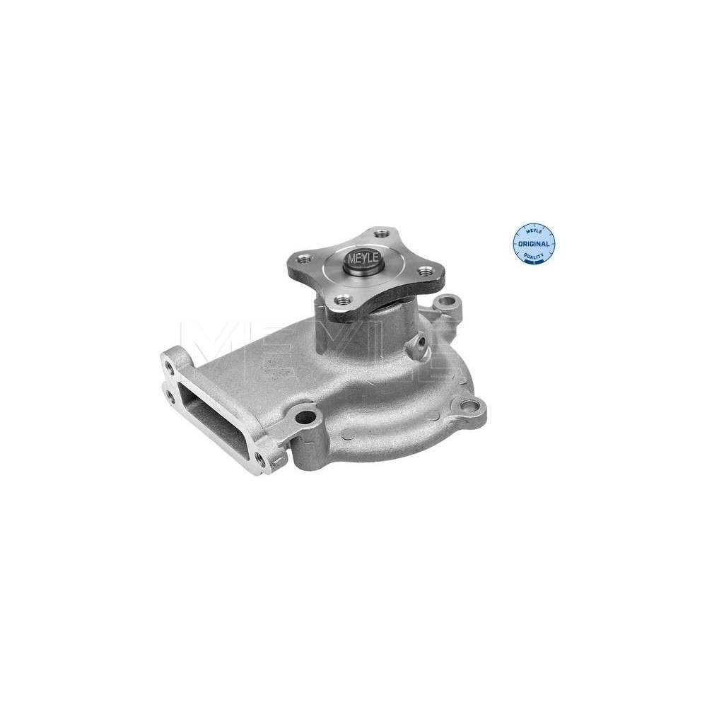 meyle: Wasserpumpe 36-132100011