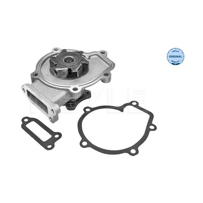 meyle: Wasserpumpe 36-132100011