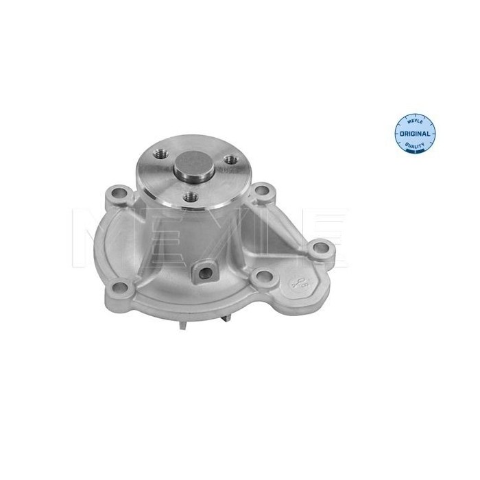 meyle: Wasserpumpe 36-132200004