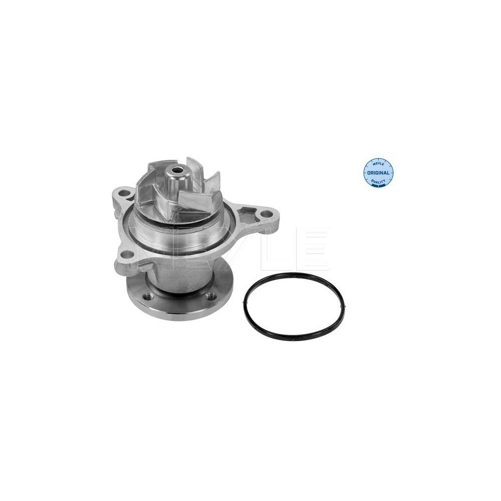 meyle: Wasserpumpe 37-132200014