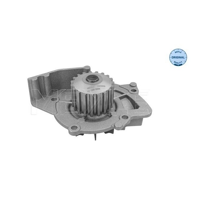 meyle: Wasserpumpe 5132200002