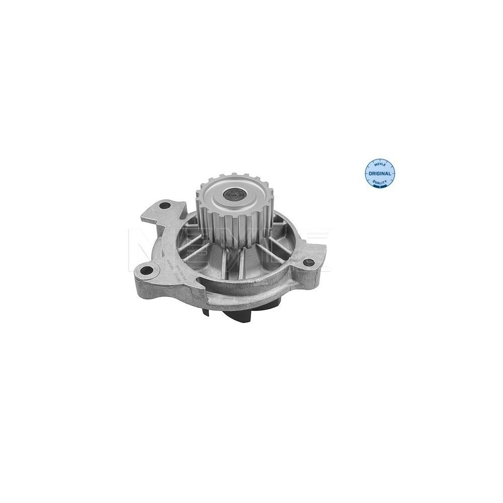 meyle: Wasserpumpe 5132200004