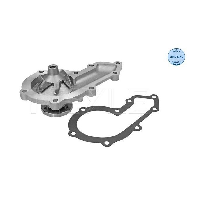 meyle: Wasserpumpe 53-132200001