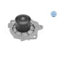 meyle: Wasserpumpe 6132200001