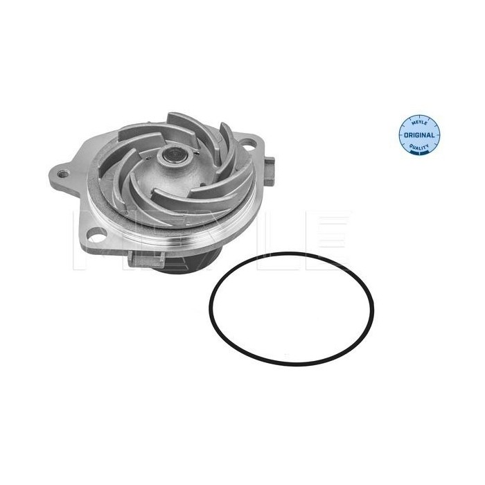 meyle: Wasserpumpe 6132200001