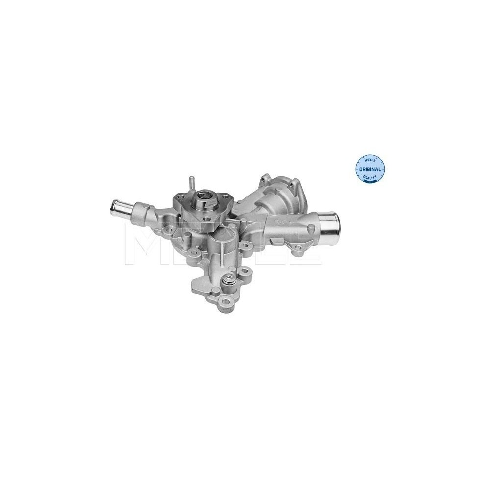 meyle: Wasserpumpe 6132200003