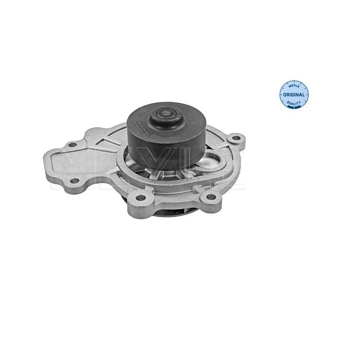 meyle: Wasserpumpe 6132200009