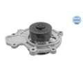 meyle: Wasserpumpe 6132200009