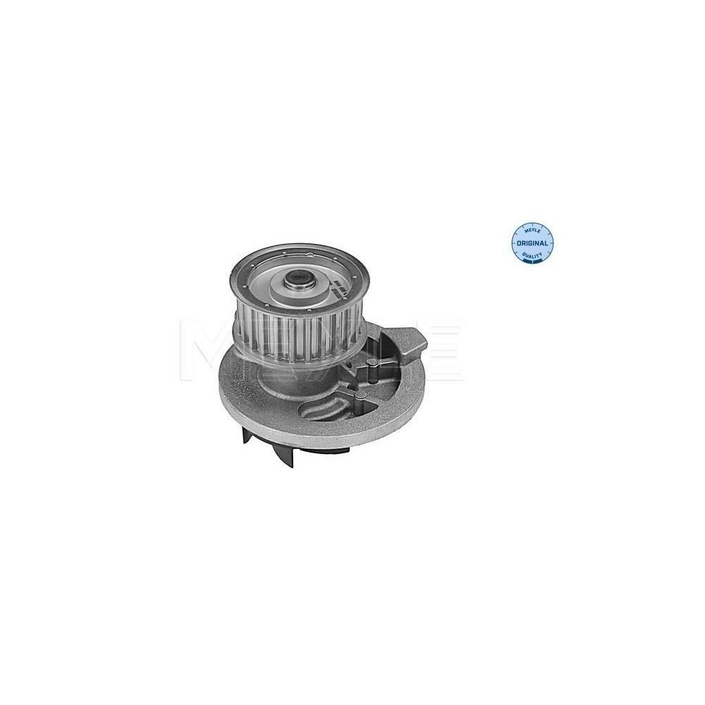 meyle: Wasserpumpe 6132200011