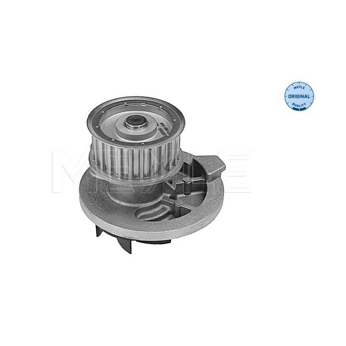 meyle: Wasserpumpe 6132200011