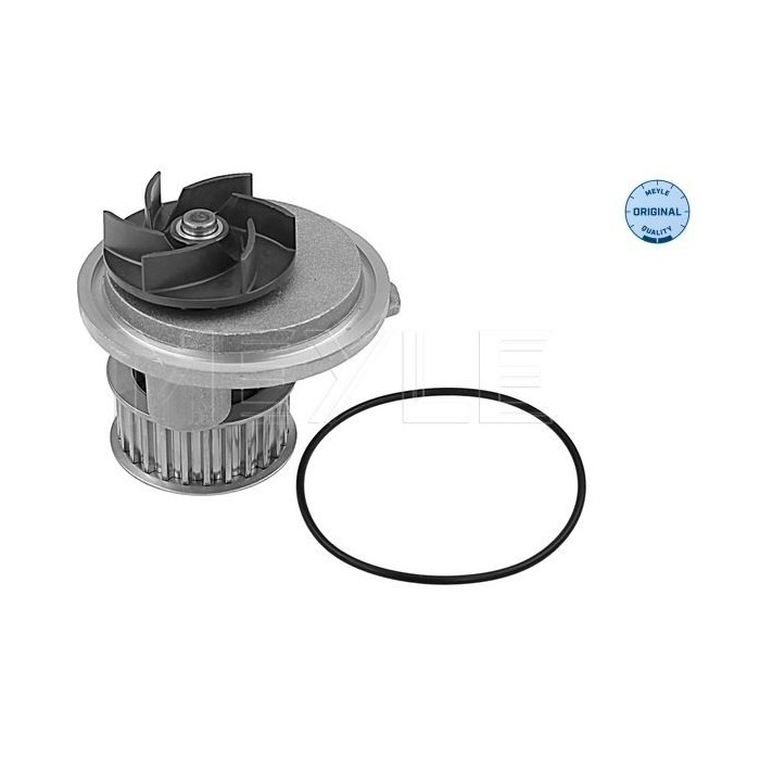 meyle: Wasserpumpe 6132200011