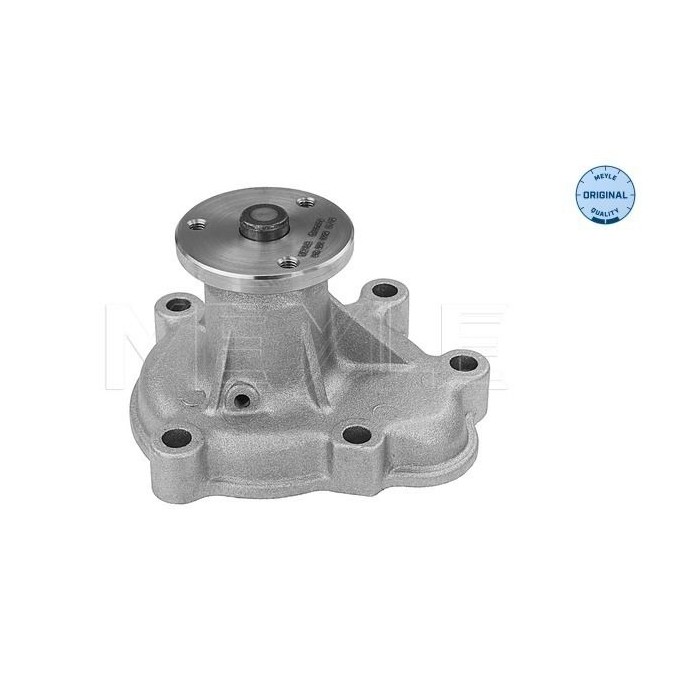 meyle: Wasserpumpe 6132200012
